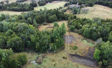 Venta de Parcelas en Huicha - Chiloé