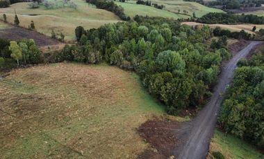 Venta de Parcelas en Huicha - Chiloé