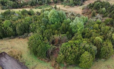 Venta de Parcelas en Huicha - Chiloé