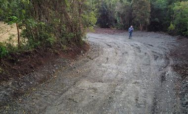 Venta de Parcelas en Huicha - Chiloé