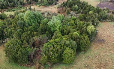 Venta de Parcelas en Huicha - Chiloé