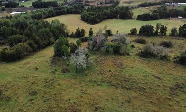 Venta de Parcelas en Huicha - Chiloé