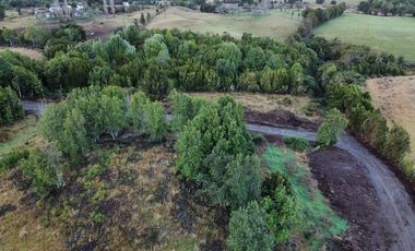 Venta de Parcelas en Huicha - Chiloé