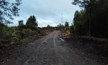 Venta de Parcelas en Huicha - Chiloé