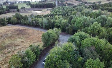 Venta de Parcelas en Huicha - Chiloé