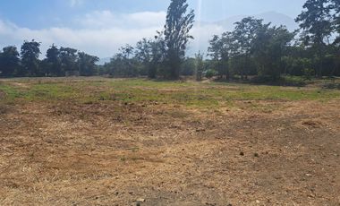 Parcela en venta  en HIJUELAS