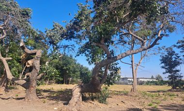 Parcela en venta  en HIJUELAS