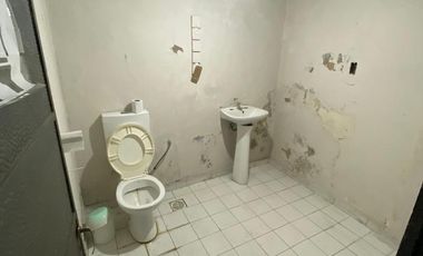 SANTILLI - LAPRIDA PEATONAL 367