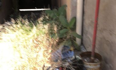 Casona comercial para remodelar en renta en la 16 poniente centro
