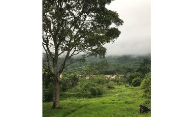 TERRENO CON RIO Y QUEBRADAS CHAZUTA