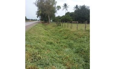 Lote comercial en venta en Aguadulce | 4,882 m² sobre Vía Panamericana