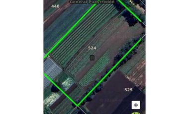 VENTA 1.7 HECTAREAS EN BATAN