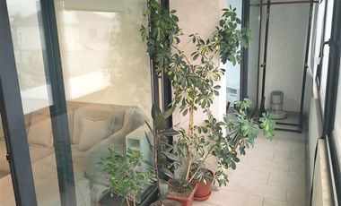 Departamento en Arriendo en MEMBRILLAR 230