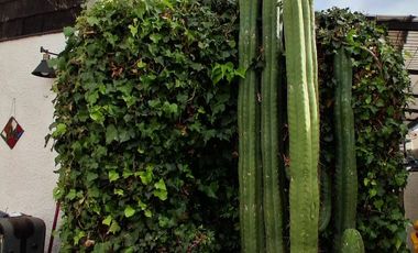 HERMOSA Y AMPLIA CASA , EN EXCLUSIVO SECTOR DE REÑACA