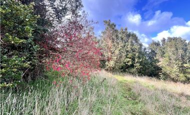 Vta Parcela en Pureo, Chiloe XA-717