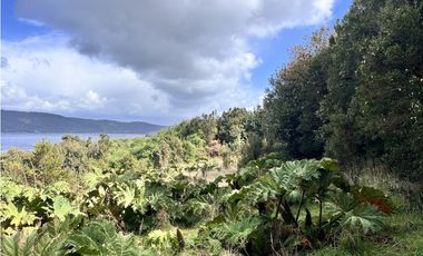 Vta Parcela en Pureo, Chiloe XA-717