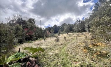 Vta Parcela en Pureo, Chiloe XA-717