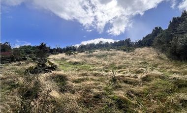 Vta Parcela en Pureo, Chiloe XA-717