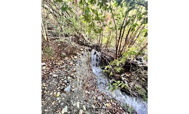 Vta Parcela en Pureo, Chiloe XA-717