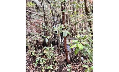 Vta Parcela en Pureo, Chiloe XA-717