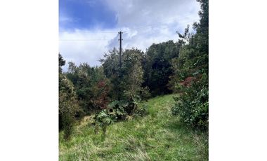 Vta Parcela en Pureo, Chiloe XA-717