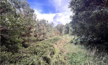 Vta Parcela en Pureo, Chiloe XA-717