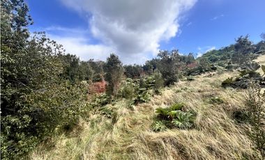 Vta Parcela en Pureo, Chiloe XA-717