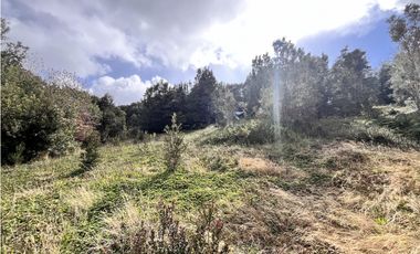 Vta Parcela en Pureo, Chiloe XA-717