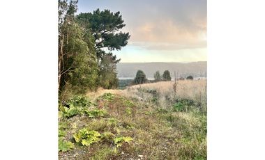 Vta Parcela en Pureo, Chiloe XA-718