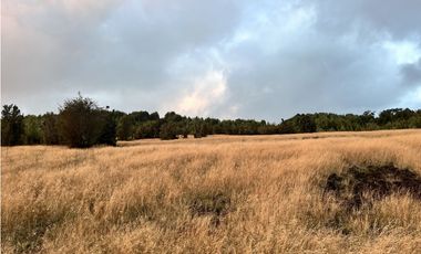 Vta Parcela en Pureo, Chiloe XA-718