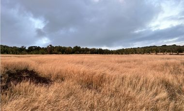 Vta Parcela en Pureo, Chiloe XA-718