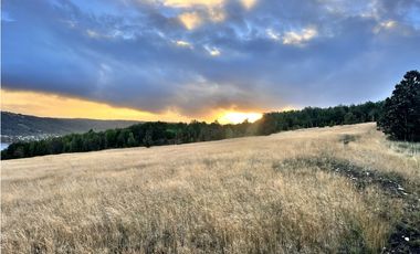 Vta Parcela en Pureo, Chiloe XA-718
