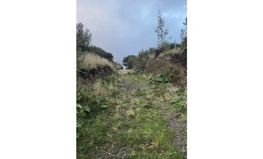 Vta Parcela en Pureo, Chiloe XA-718