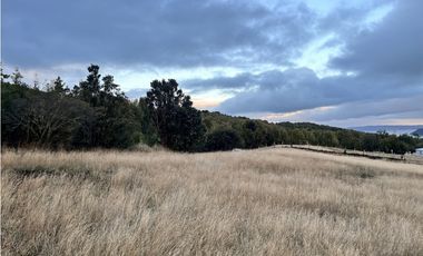 Vta Parcela en Pureo, Chiloe XA-718