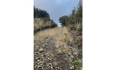 Vta Parcela en Pureo, Chiloe XA-718