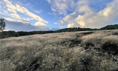 Vta Parcela en Pureo, Chiloe XA-718
