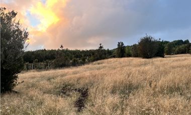 Vta Parcela en Pureo, Chiloe XA-718