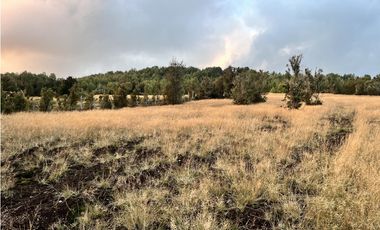 Vta Parcela en Pureo, Chiloe XA-718