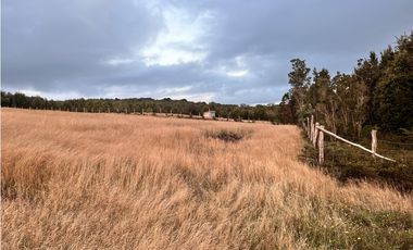 Vta Parcela en Pureo, Chiloe XA-718