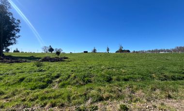 PARCELA A SOLO 5 MINUTOS DE OSORNO