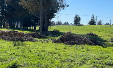 PARCELA A SOLO 5 MINUTOS DE OSORNO