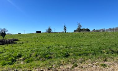PARCELA A SOLO 5 MINUTOS DE OSORNO