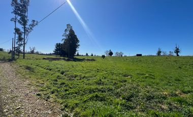 PARCELA A SOLO 5 MINUTOS DE OSORNO