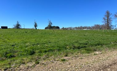PARCELA A SOLO 5 MINUTOS DE OSORNO