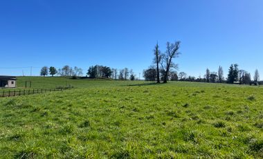 PARCELA A SOLO 5 MINUTOS DE OSORNO