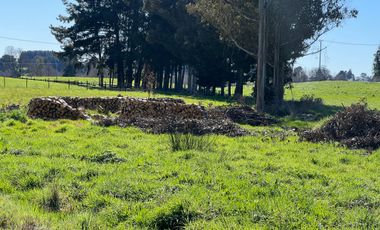 PARCELA A SOLO 5 MINUTOS DE OSORNO
