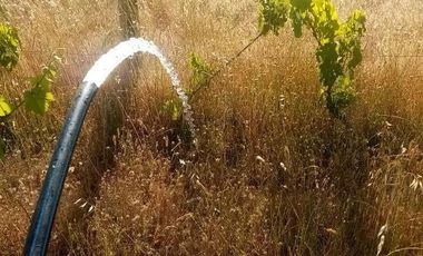 PARCELA CON AGUA Y LUZ A 130 KMS DE SANTIAGO