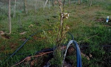 PARCELA CON AGUA Y LUZ A 130 KMS DE SANTIAGO