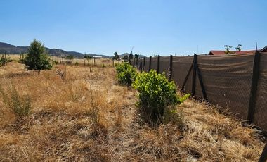 PARCELA CON AGUA Y LUZ A 130 KMS DE SANTIAGO