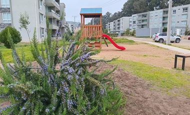 Departamento en Venta en Lomas de Puyai